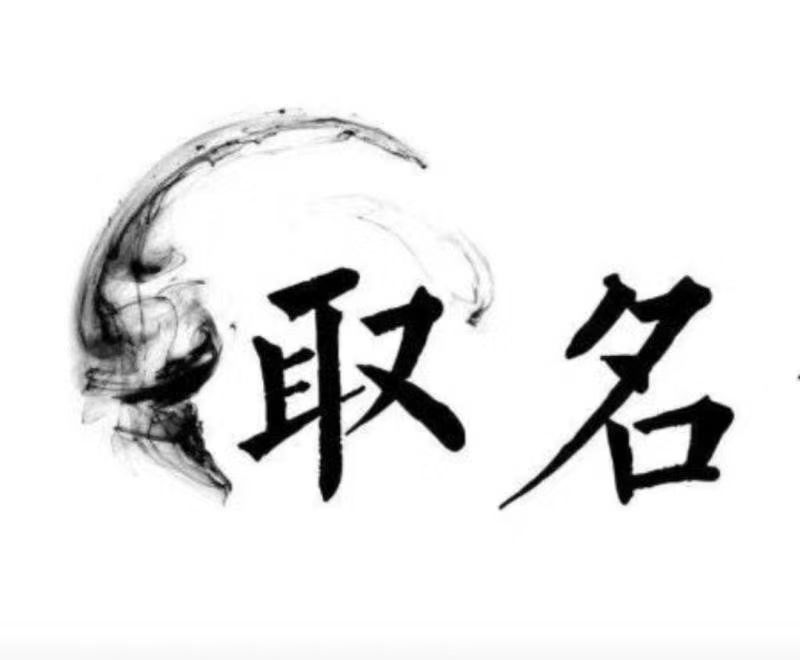  龙马潭宝宝取名 大师一对一人工起名
