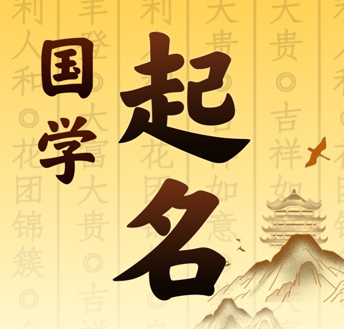 龙马潭国学起名 人工起名一对一